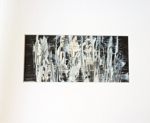 2015
24 x 30 cm
Preis: 130 Euro mit passendem Passepartout Im Schilf II