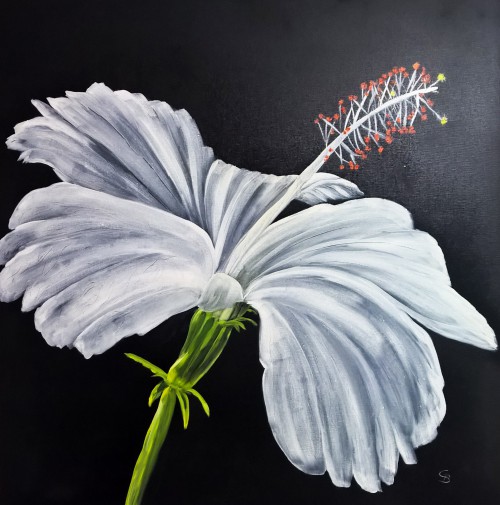 Ölmalerei
80 x 80 x 2 cm
Preis: 300 Euro Hibiskus