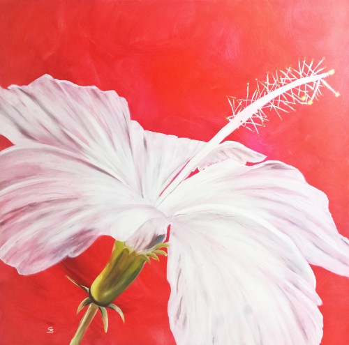Ölmalerei
100 x 100 x 2 cm
Preis: 350 Euro oder als Mietpreis 35 € monatlich Hibiskus