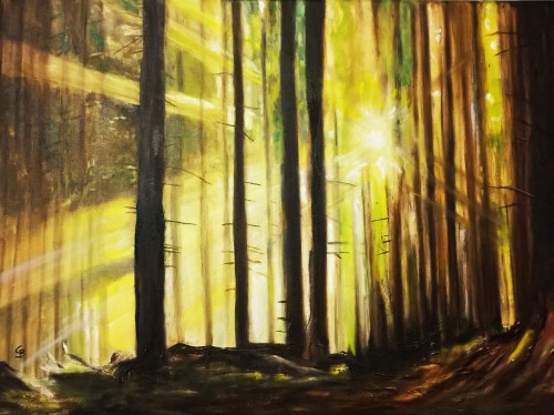 2019
Öl-Mischtechnik
80x60x2 cm
Preis: 450,-- € oder als Mietpreis 45,--€ monatlich Waldlichtung